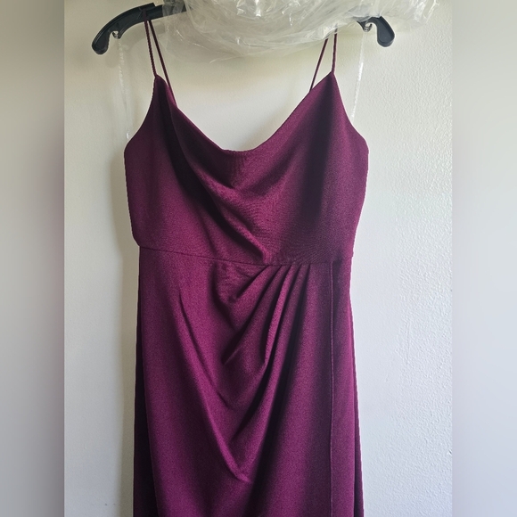 NWT! Sachin & Babi, Paulina Gown, Deep Wine, Size 4 -MSRP $285 - Picture 8 of 12